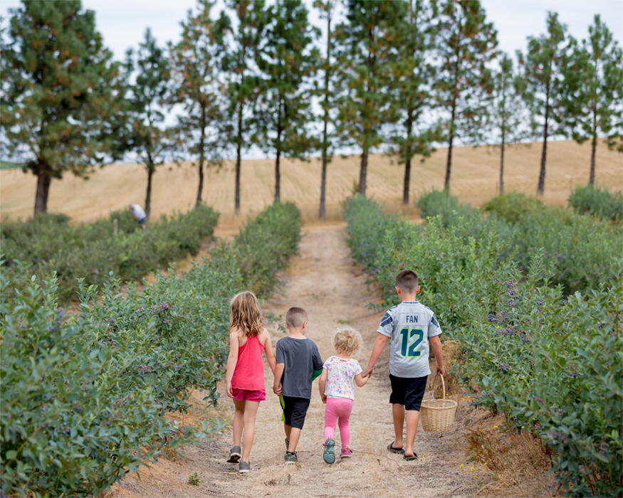 Children walking hand in hand through a field