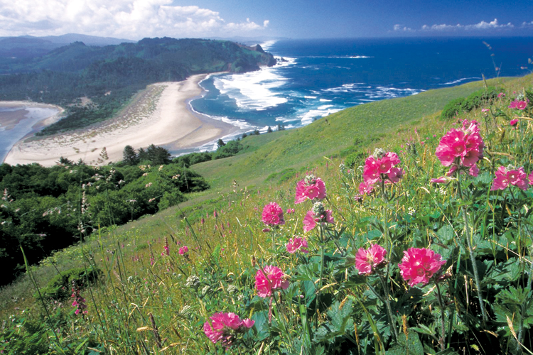 Cascade Head Trail