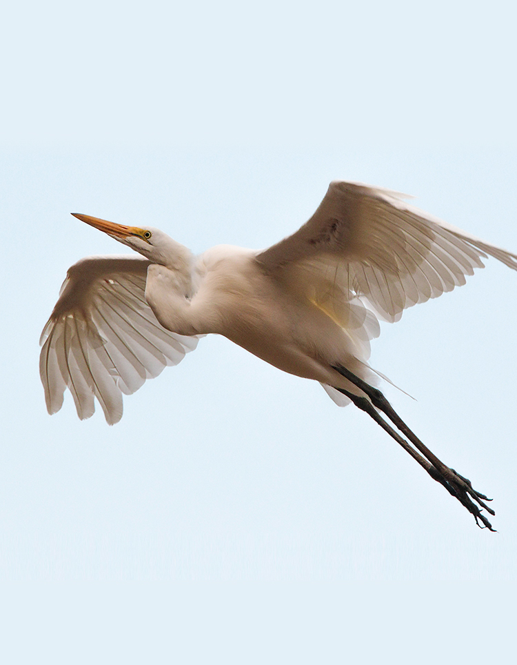 National Wildlife Refuge