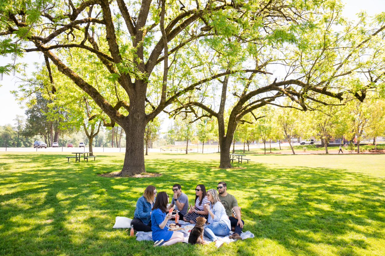 A group of men and women picnicking under a tree